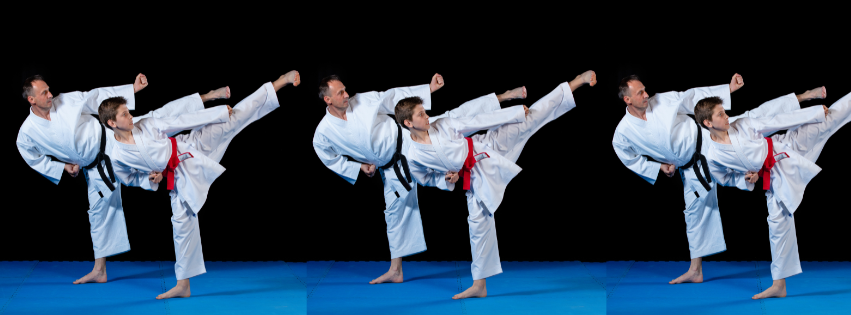 Karateforlife.net(1)