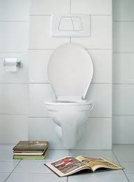 toilet 1