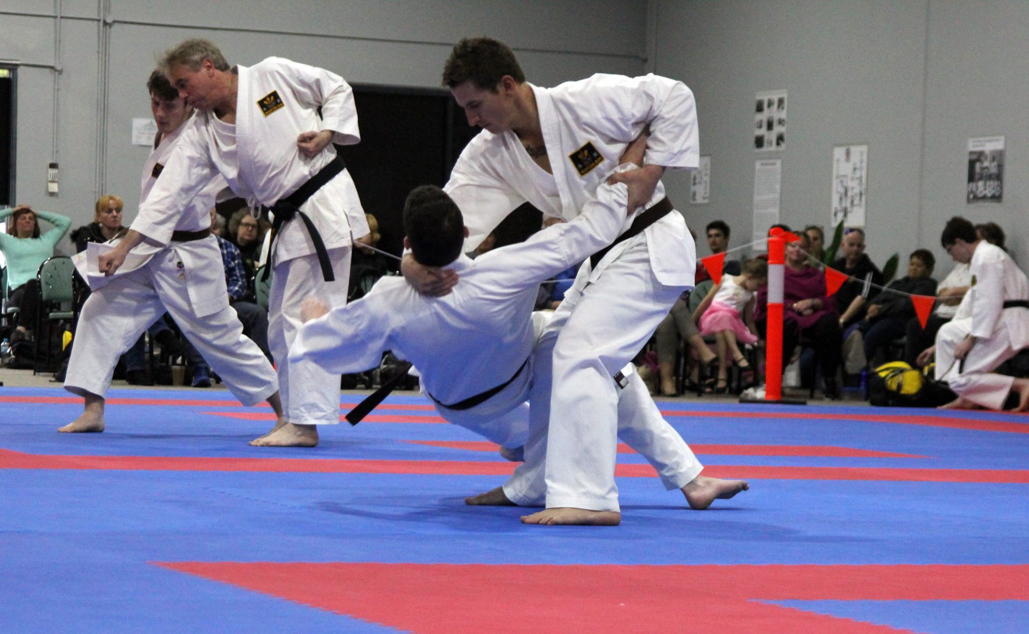 Senior Grading Ryan and Sam